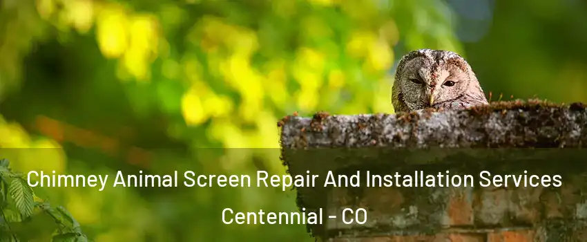  Chimney Animal Screen Repair And Installation Services Centennial - CO
