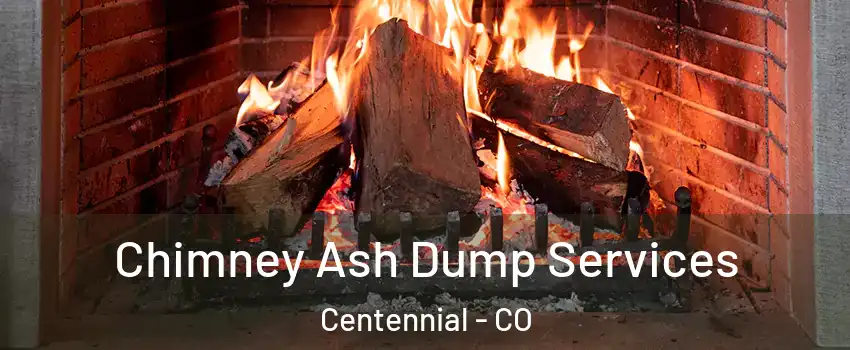  Chimney Ash Dump Services Centennial - CO
