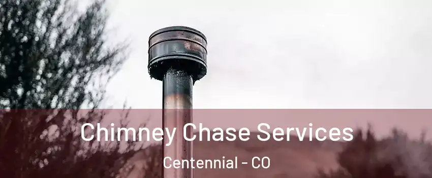  Chimney Chase Services Centennial - CO