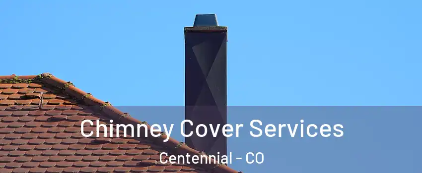  Chimney Cover Services Centennial - CO