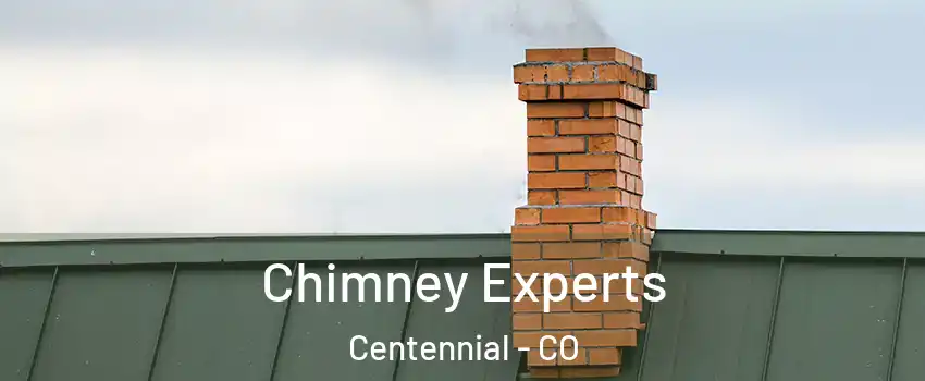  Chimney Experts Centennial - CO