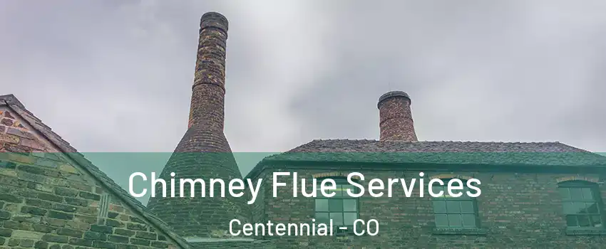  Chimney Flue Services Centennial - CO