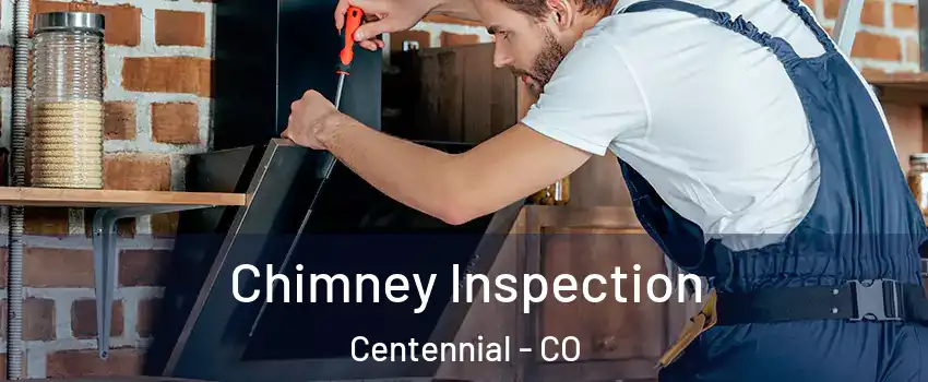  Chimney Inspection Centennial - CO