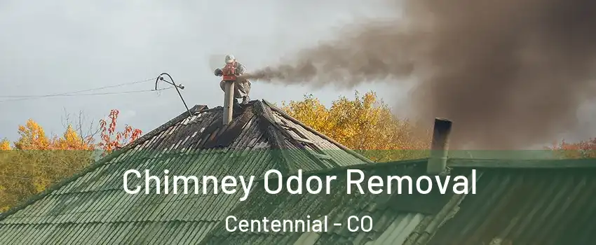 Chimney Odor Removal Centennial - CO