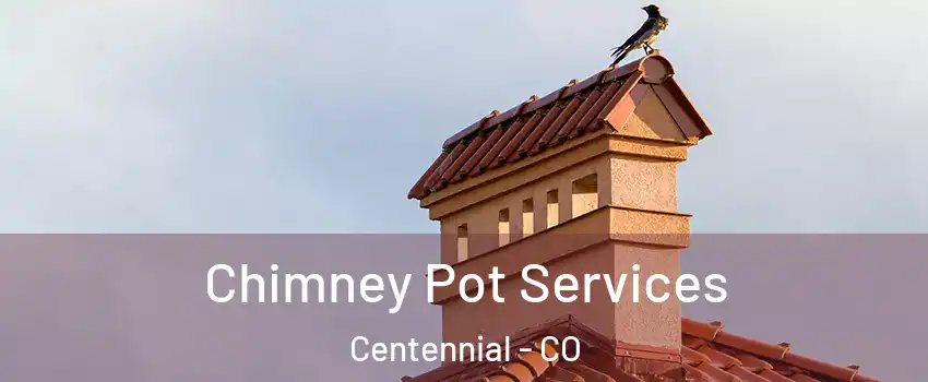  Chimney Pot Services Centennial - CO