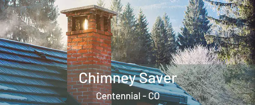  Chimney Saver Centennial - CO