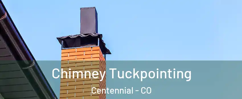  Chimney Tuckpointing Centennial - CO