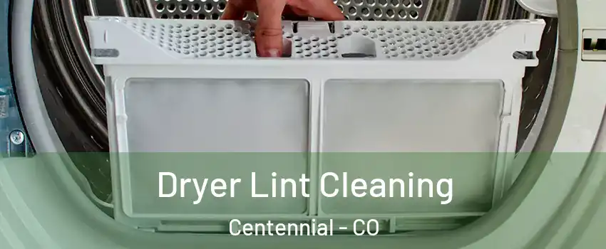  Dryer Lint Cleaning Centennial - CO