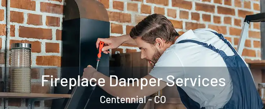  Fireplace Damper Services Centennial - CO