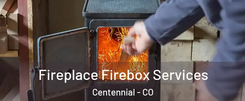  Fireplace Firebox Services Centennial - CO