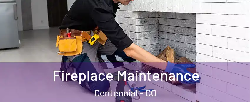  Fireplace Maintenance Centennial - CO