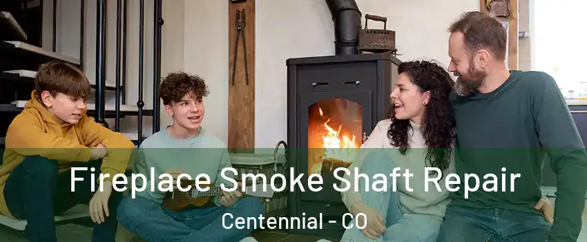  Fireplace Smoke Shaft Repair Centennial - CO