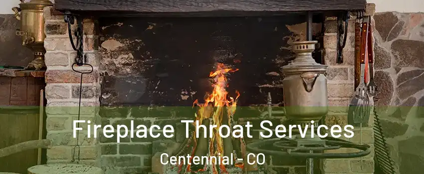  Fireplace Throat Services Centennial - CO