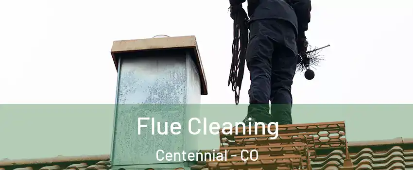  Flue Cleaning Centennial - CO
