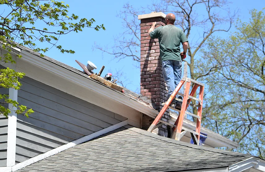 Chimney & Fireplace Inspections Services in Centennial, CO