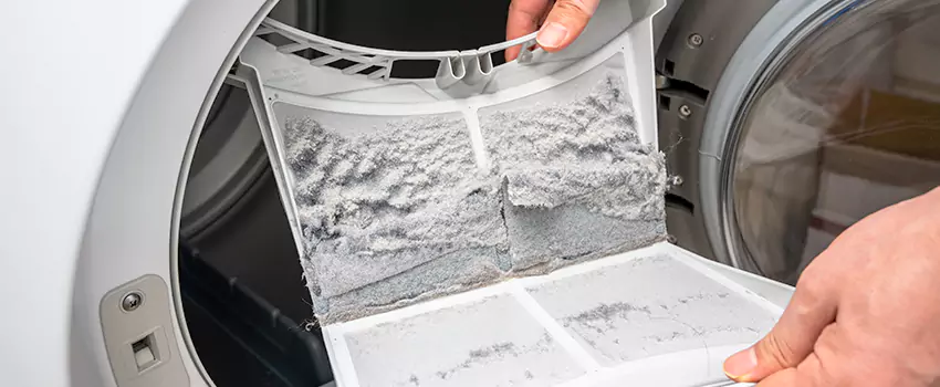 Best Dryer Lint Removal Company in Centennial, Colorado