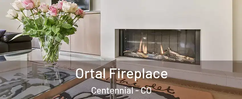  Ortal Fireplace Centennial - CO