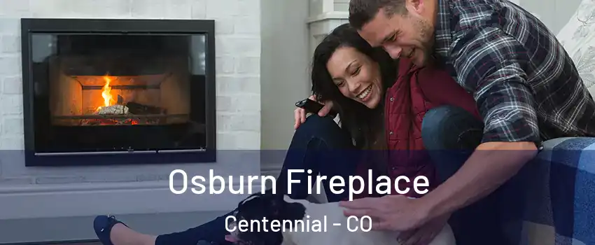  Osburn Fireplace Centennial - CO