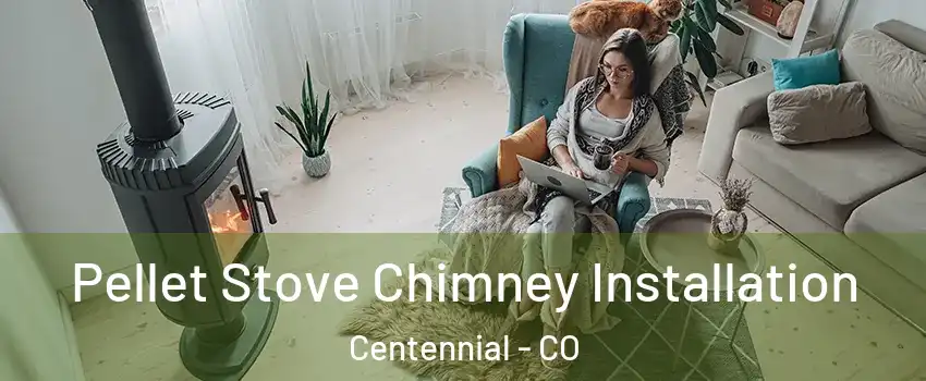  Pellet Stove Chimney Installation Centennial - CO