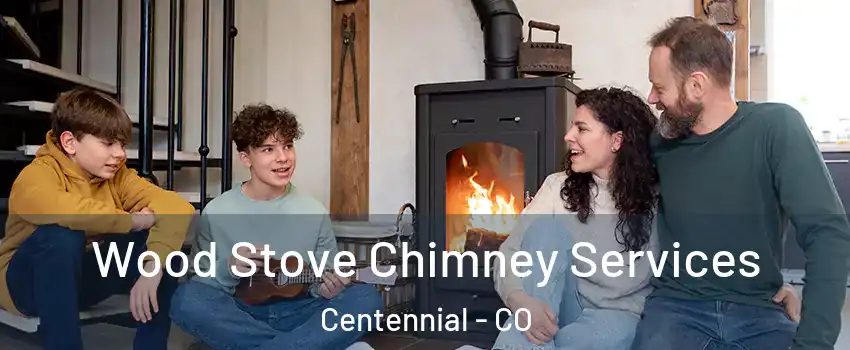  Wood Stove Chimney Services Centennial - CO